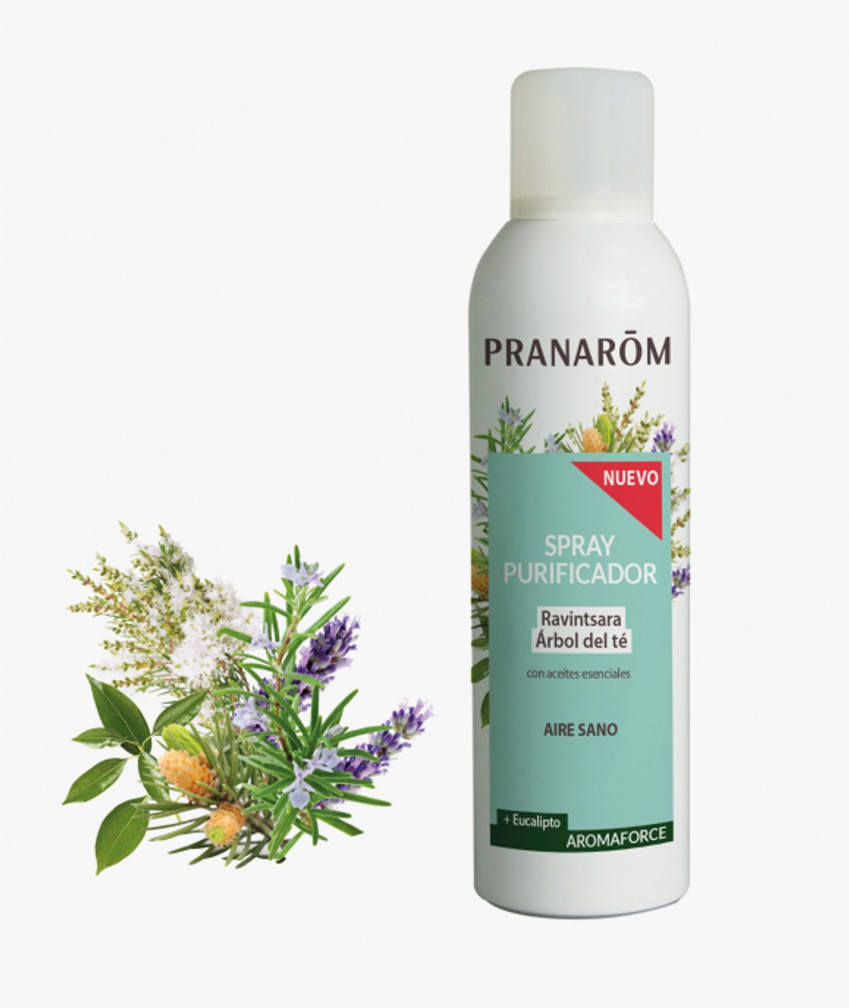 PRANAROM SPRAY PURIFIFICANTE RAVINTSARA ARBOL TE 150 ML