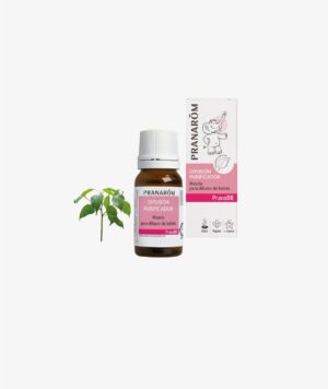 PRANABB DIFUSION PURIFICADOR MEZCLA 10 ML