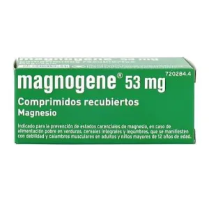 MAGNOGENE 45 COMPRIMIDOS RECUBIERTOS